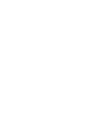 never_logo